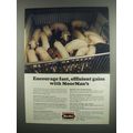 1984 MoorMan's Feeding Programs Ad - Fast, Efficient