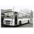 Black & White Photograph of North Western Road ...