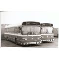 Black & White Photograph of Yorkshire Traction ...