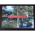 GB Devon Churchwood Valley Wembury 2002 Salmon ...