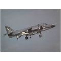 Sea Harriers FRS1 Of 899 Squadron Royal Navy Ai...
