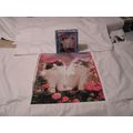 MILK SHAKES COMPLETE Puzzle CATS KITTENS