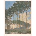 Unused Art Postcard - Les Paupliers - Monet
