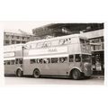 Black & White Photograph of Manchester Corporat...