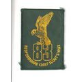 Scout Badge UK Chief Scout Visit - Bedfordshire...