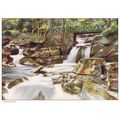Artist Drawn Lynmouth Waters Meet Devon Postcar...