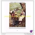 CHILDREN OF URI, SWITZERLAND, Book Illustration...