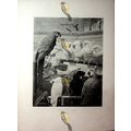 Chairman Of The Committee (Parrots), H Stacy Ma...
