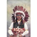 North American Indian Post Card, Chief White Sw...