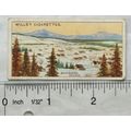 1914 Wills Overseas Dominions Canada No. 28 A B...