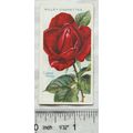 1914 Wills Roses 2nd Series No. 73 Edward Mawley