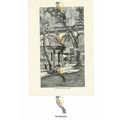 Patio Of The Pigeon Mosque, Turkey, Book Illust...