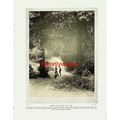 Coppice Walk, Haden Hill Park (Hadden Hill Hall...
