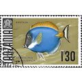 TANZANIA, FISH, Powderblue surgeinfish, gold 19...