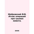 Zhebrovsky V.V. Atlas of operations for abdomin...