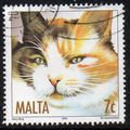 Malta 2004 Cats - Tortoiseshell 7c Used