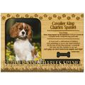Cavalier King Charles Spaniel Engraved Wood Pic...
