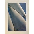 wall art prints “ Mariquita IV “ by Rachel Fear...