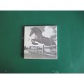 Laser Engraved 100 x 100mm (Jumping Horse)