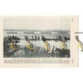 Fishing Rapids, Banzyville (Mobayi-Mbongo), Con...