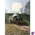 GB Postcard - Dart Valley Railway