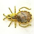 Vintage 1 1/2" Bug Beatle Brooch Gold-Tone with...
