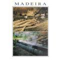 MADEIRA, PORTUGAL unused vintage postcard. #