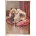 PUFF THE POMERANIAN DOG illustration by Albert ...
