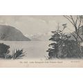 Lake Hamilton Waikato New Zealand Old Postcard