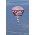 Budweiser Beer Hot Air Balloon Cross Channel Race Postcard