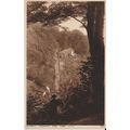 Clovelly, Steepways from Hobby Drive - Photochr...