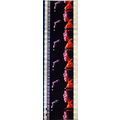 Jimi Hendrex. Pk MTP - C057E . 1 STRIP OF 5 - 3...