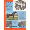 el di sar arabian horses 1972 fire flame gwalsa...