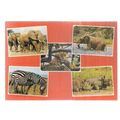 multiview, AFRICAN ELEPHANT, LIONS, EAST AFRICA...