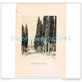 AT SAN MINIATO, FLORENCE, ITALY, BOOK ILLUSTRAT...