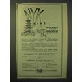 1929 NYK Line Cruise Ad - Wide World Service