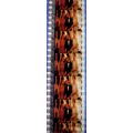 Pk DAU - A - MIX - a 016P. 1 STRIP OF 5 - 35MM ...