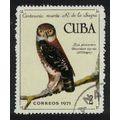 Caribic Pygmy owl Bird 1971 CTO SG#1891