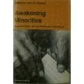 AWAKENING MINORITIES AMERICAN INDIANS MEXICAN A...