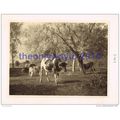 Pastoral Scene - Constant Troyon, Book Illustra...