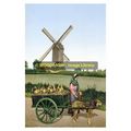rp13807 - Belgian Dog Milk Cart - print 6x4