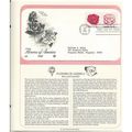 FLOWERS of AMERICA: Rose & Camellia ' OFFICIAL ...