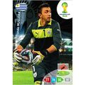 2014 Adrenalyn XL FIFA World Cup Brazil - #305 ...