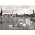 Inverness, Highland - River Ness, swans - JB Wh...
