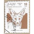 1992 - Fennec fox - 16792