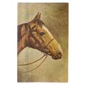 HORSE'S HEAD unused vintage postcard by J. Salmon
