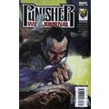 Punisher War Journal (Vol 2) # 023 NM MODERN AG...