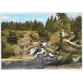 56 - PLOERMEL - CASCADE DE L´ETANG AU DUC