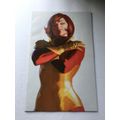 2025 Marvel Comics Iron Man Alex Ross Janet Van...