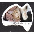 AUSTRALIA: 2022, DOMESTIC CAT (FANG), USED SELF...